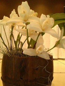 10391386_921611387849396_6238009064545656054_n