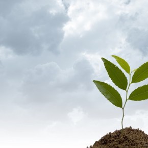 UE carbono neutral en&nbsp;2100