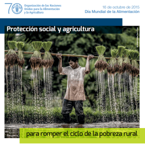 16 de octubre: Día Mundial de la&nbsp;Alimentación