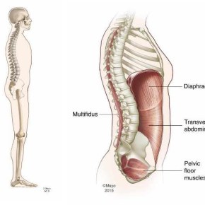 ¿Cuál es la postura sana y cómo&nbsp;mantenerla?