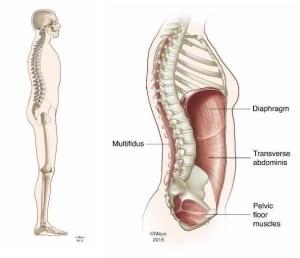 Factores del estilo de vida moderno, pueden ejercer tensiones sobre la postura.