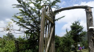 SAMSUNG CAMERA PICTURES