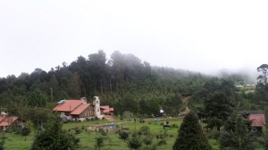 SAMSUNG CAMERA PICTURES