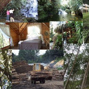 Bosques Sostenibles en Las&nbsp;Verapaces