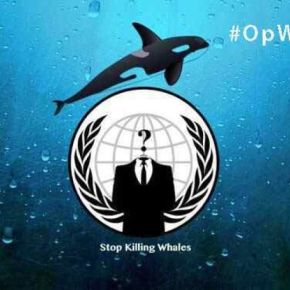 Anonymous contra la caza de&nbsp;ballenas