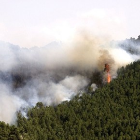 Educación ambiental para evitar incendios&nbsp;forestales