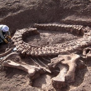 Científicos encuentran fósil de dinosaurio en la&nbsp;India