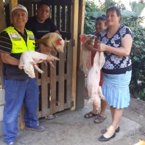 Agua Buena lleva granjas&nbsp;sostenibles