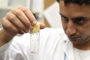 FILES-AUSTRIA-SCIENCE-HEALTH-IAEA-ZIKA