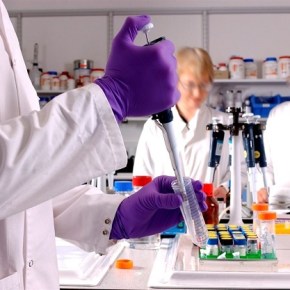 Buscan vacuna contra el&nbsp;zika