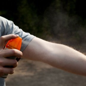 OMS saca guía sobre el&nbsp;zika