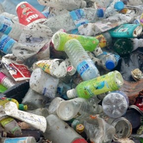 Bacteria que descompone el&nbsp;plástico