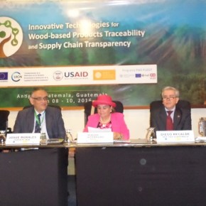 Guatemala sede del taller de Trazabilidad de la&nbsp;madera