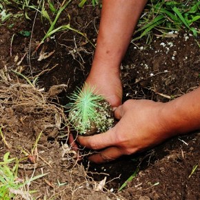 Guatemala, un país aún con poca conciencia&nbsp;ambiental