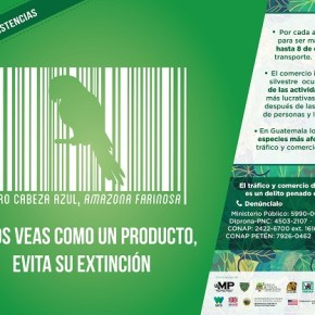Registran 25 mil coleccionistas de Fauna&nbsp;Silvestre
