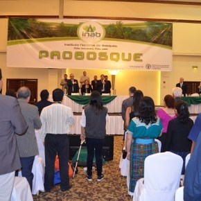Arranca Ley PROBOSQUE en&nbsp;Guatemala