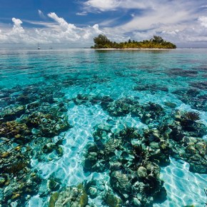 El Patrimonio Mundial natural&nbsp;amenazado