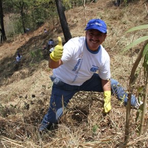 Walmart avanza en la recuperación forestal del Parque Nacional Naciones&nbsp;Unidas