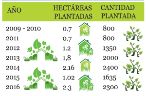 reforestacion walmart