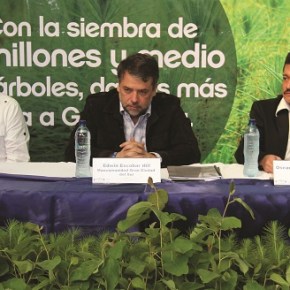 El INDE entrega más de 200 mil árboles a&nbsp;AMSA