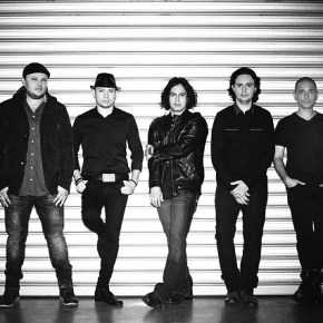 “Felina” del Tambor de la&nbsp;Tribu