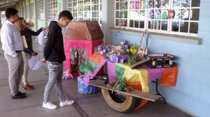 SAMSUNG CAMERA PICTURES