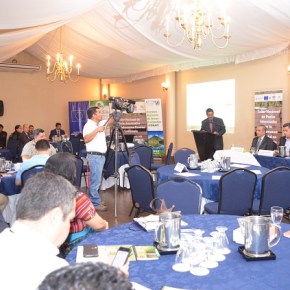 Guatemala fortalecerá su gobernanza&nbsp;forestal