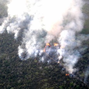 Incendios forestales encienden la alerta roja en&nbsp;Petén