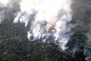 incendios forestales