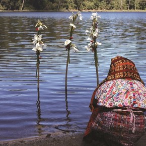 22 de mayo Día Internacional de la Diversidad&nbsp;Biológica