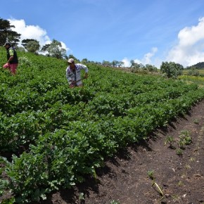 El Altiplano Occidental se prepara para enfrentar los efectos del cambio&nbsp;climático