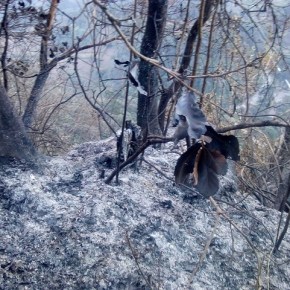 Viento frío procedente del Norte baja el&nbsp;termómetro