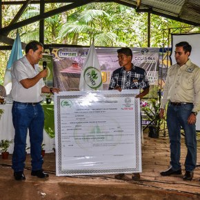 Desembolsan más de Q300 millones en incentivos&nbsp;forestales