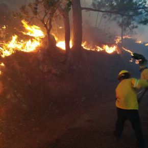 4 de mayo Día del Bombero&nbsp;Forestal
