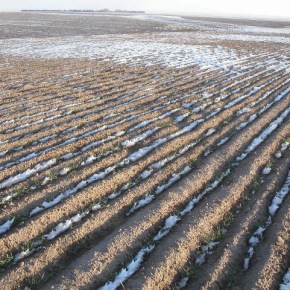Un informe de la FAO lanza la alarma sobre la contaminación del&nbsp;suelo