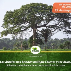 Día del árbol en&nbsp;Guatemala