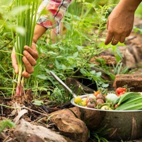 Día de la Gastronomía&nbsp;Sostenible