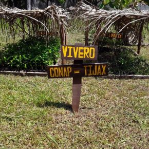 Los viveros del Consejo Nacional de Áreas&nbsp;Protegidas