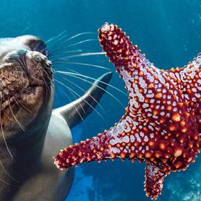 Día Mundial de los&nbsp;Océanos