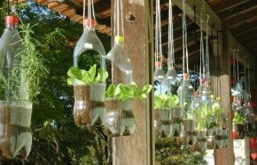 AMSA recomienda hacer huertos&nbsp;caseros