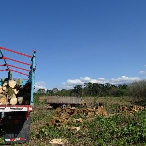 INAB facilita a los usuarios el traslado de productos y subproductos&nbsp;forestales