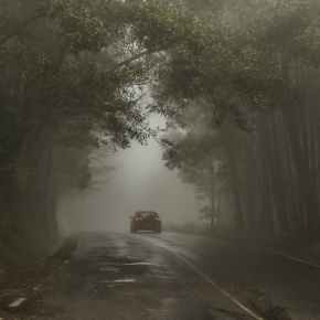 Un búho de&nbsp;visita