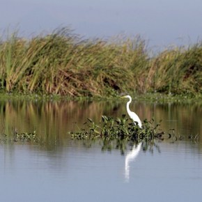 Las áreas protegidas, indispensables para la&nbsp;vida