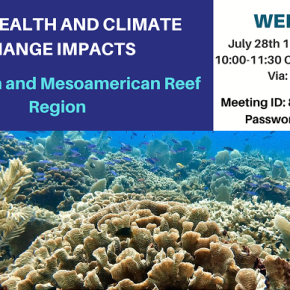 Webinar acerca de la salud de los&nbsp;arrecifes