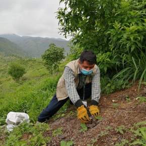 Rescatan mazacuata y es liberada en área&nbsp;protegida