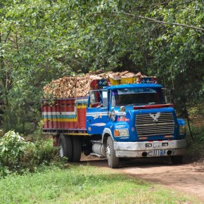 INAB actualiza reglamento de transporte de productos&nbsp;forestales