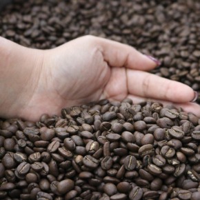 Crece demanda de café guatemalteco en mercados internacionales