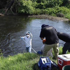 MARN denuncia ante el MP posible contaminación en el Manchón&nbsp;Guamuchal