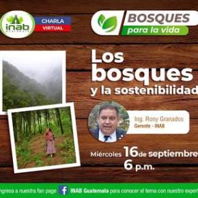 Charla «Los bosques y la&nbsp;sostenibilidad»