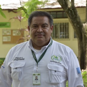 Bosques y sostenibilidad